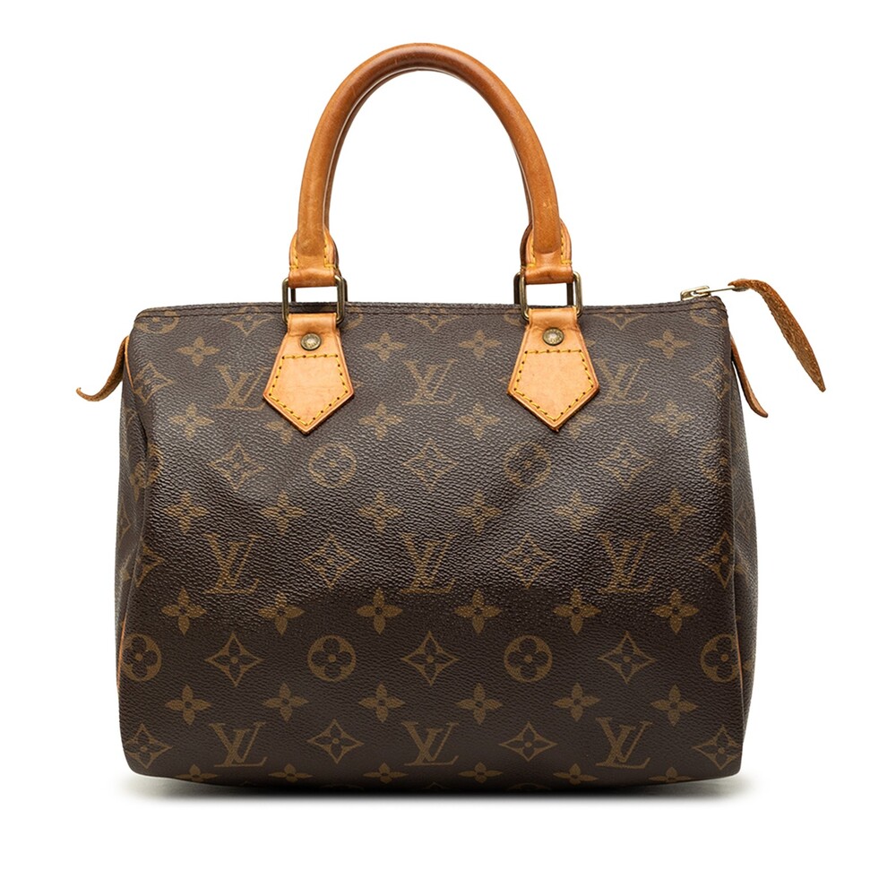 Louis Vuitton Speedy 25 Pre-Loved #314203L99B
